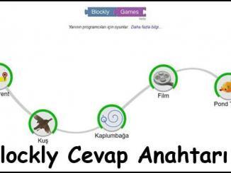Blockly Cevap Anahtarı