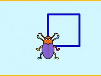 Scratch Örnekleri 4- Kare Çizdirelim