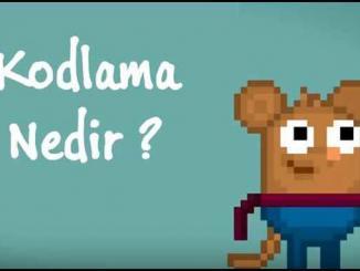 Kodlama Nedir