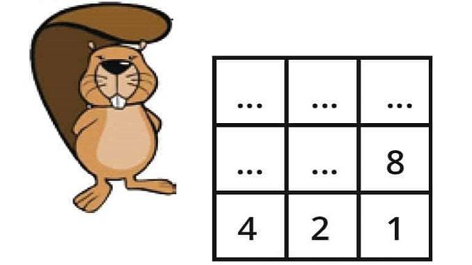 Bilge Kunduz Çalışma Kağıdı