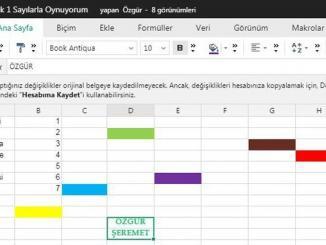 Sayılarla Oynuyorum Excel Etkinliği