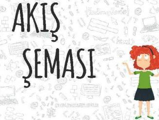 Akış Şeması Sunumu
