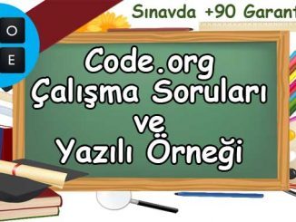 Code.org Çalışma Soruları Yazılı Örneği