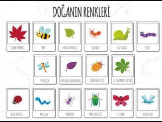 Doğanın Renkleri