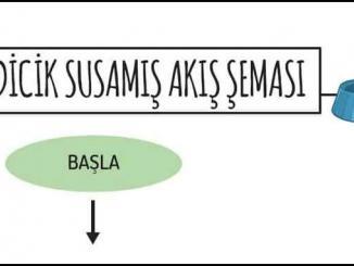 Kedicik Susamış Akış Şeması