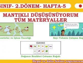 Mantıklı Düşünüyorum