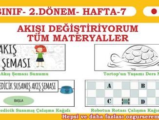 Akışı Değiştiriyorum