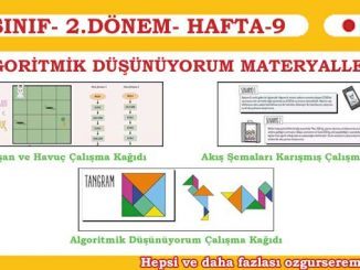 Algoritmik Düşünüyorum