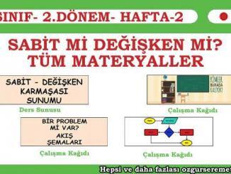 Sabit mi Değişken mi