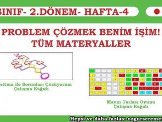 Problem Çözmek Benim İşim