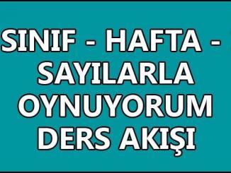 Sayılarla Oynuyorum