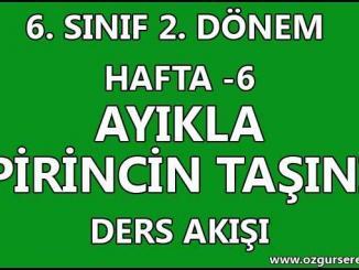 Ayıkla Pirincin Taşını