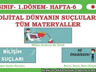 Dijital Dünyanın Suçluları