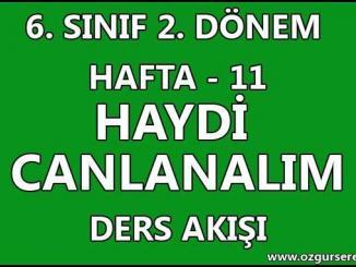 Haydi Canlanalım