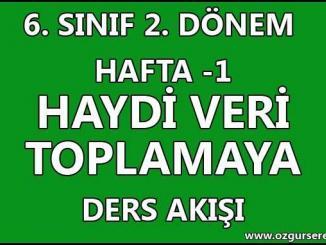 Haydi Veri Toplamaya
