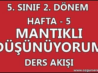 Mantıklı Düşünüyorum Ders Akışı