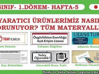 Yaratıcı Ürünlerimiz Nasıl Korunuyor