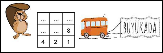 Bilge Kunduz Çalışma Kağıdı