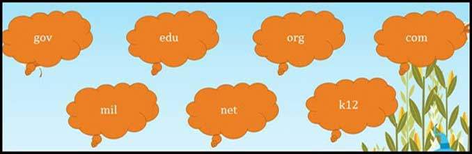 İnternet Adresleri & Uzantıları Ev Ödevi