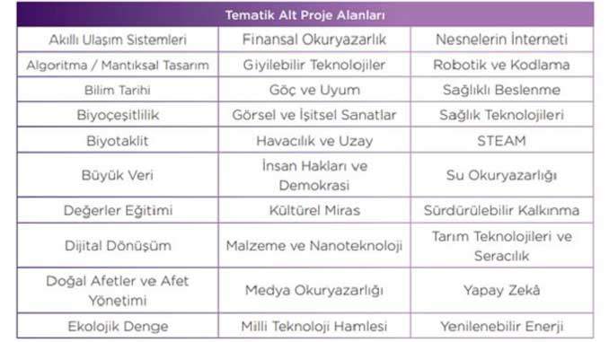 Tematik Alt Proje Alanları