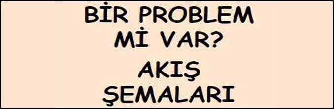 Bir Problem mi Var? Akış Şemaları