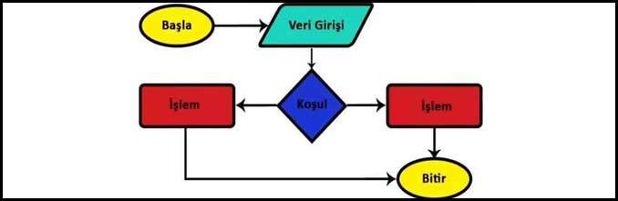 Ne Çok Problem Varmış? Ev Ödevi