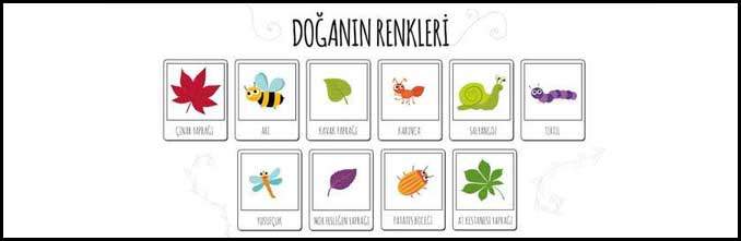 Doğanın Renkleri Çalışma Kağıdı - Mantıklı Düşünüyorum