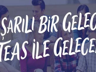 Teas Yayınları Cevap Anahtarı